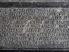 EFR58194