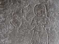 EFRL8681